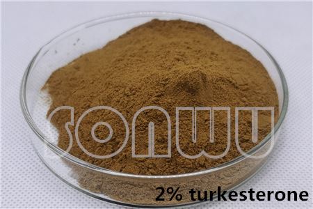 2% turkesterone