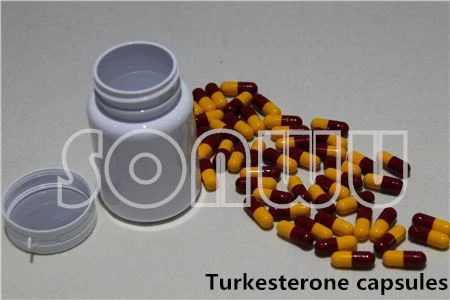 turkesterone capsules