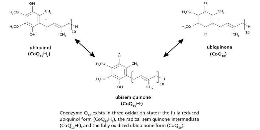 Coenzyme Q10 Coenzyme Q10