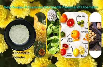 Οι ερευνητές εξετάζουν τον πιθανό ρόλο της Diosmetin στην καταπολέμηση του οξ...